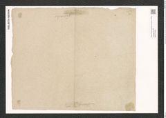 Synedra pulchella (Ralfs). Kuetz. (de-Toni-Nr.: Genus 66, Species 2582) Zeichnungen Sammlung Grunow (NHMW-BOT-W0373468)